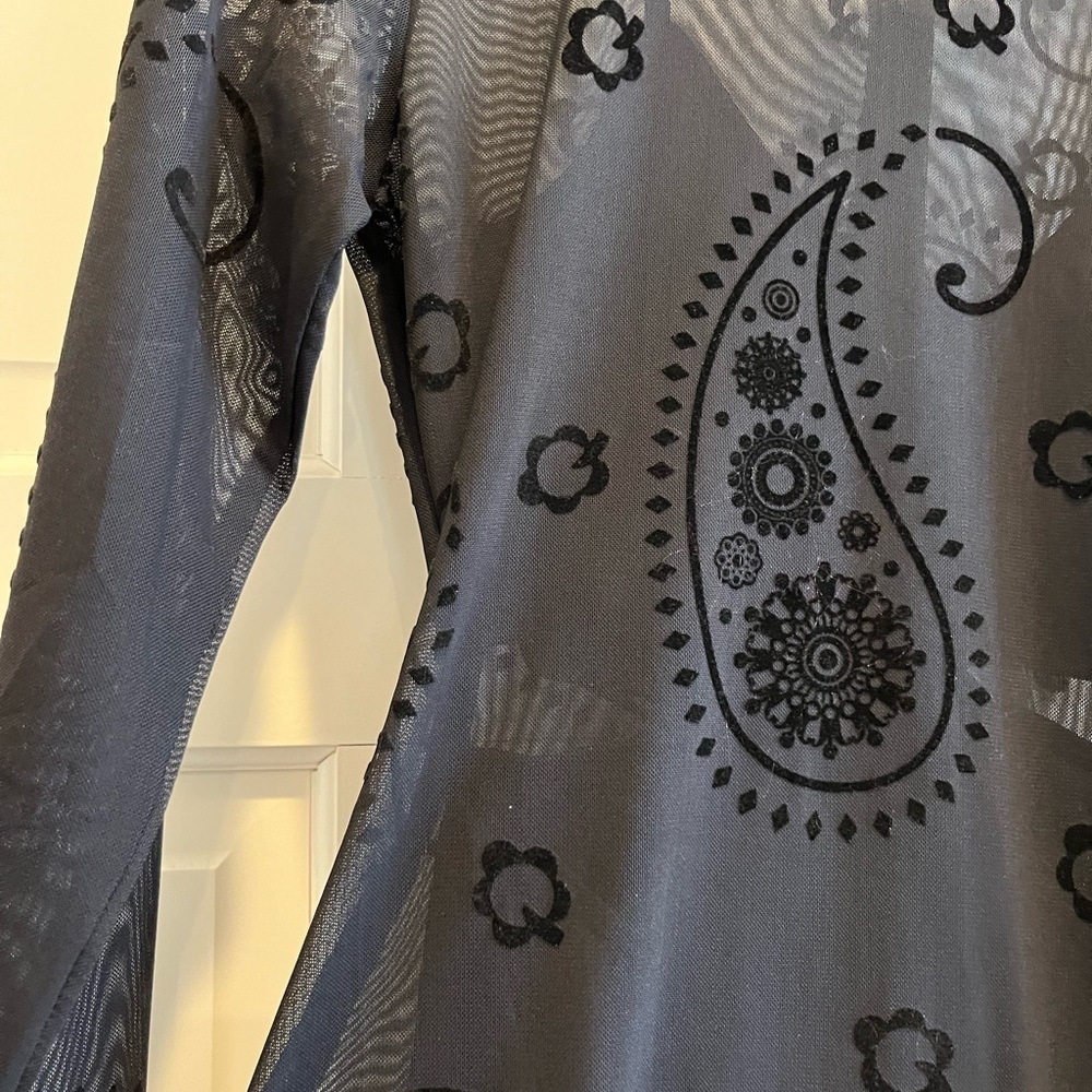 𝅺Velvet and sheer black dress